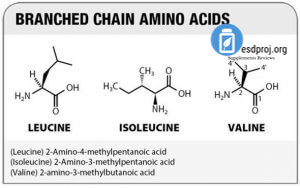 branched chain chemical structure